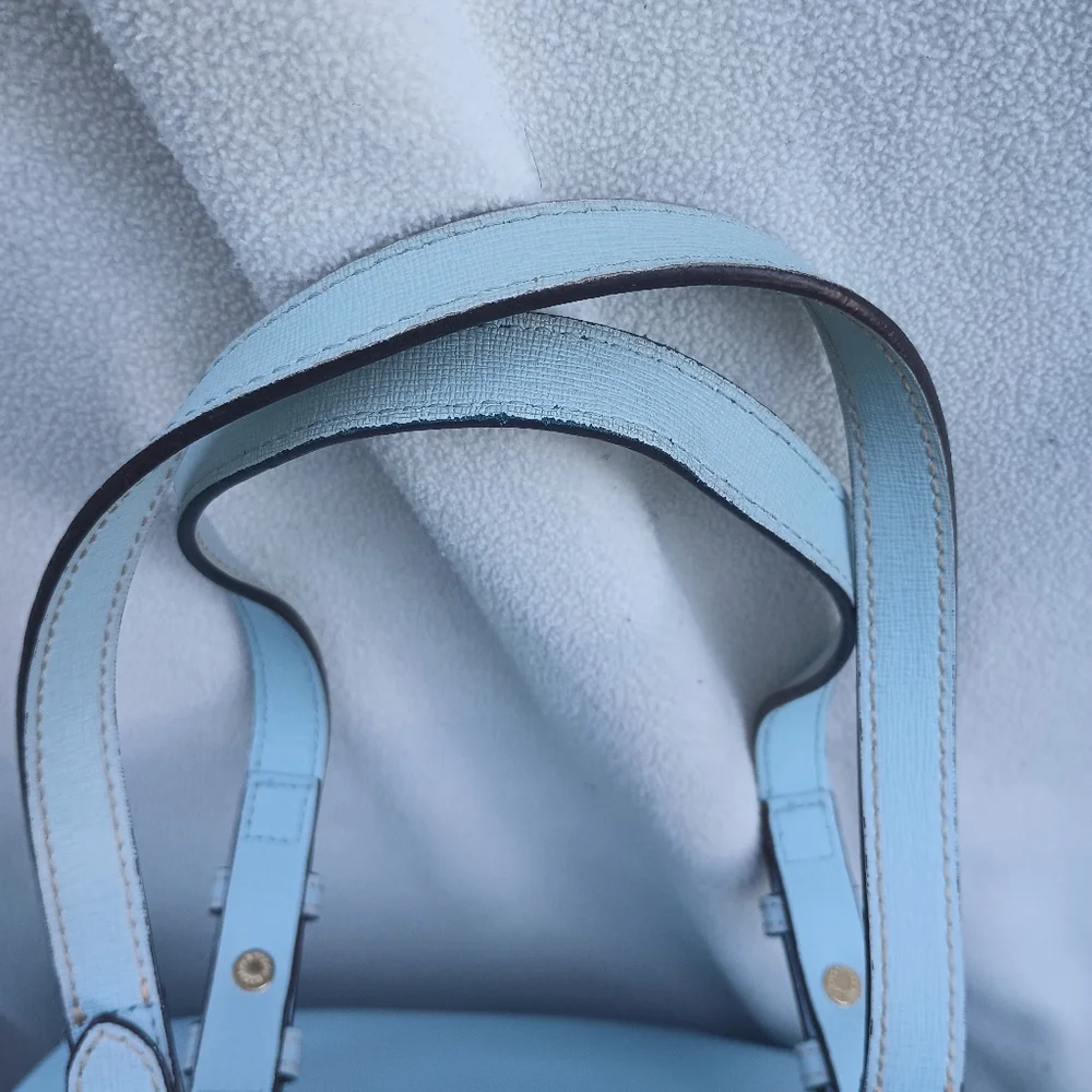 Dooney and Bourke Safiano double strap tassel tote - Picture 4 of 12